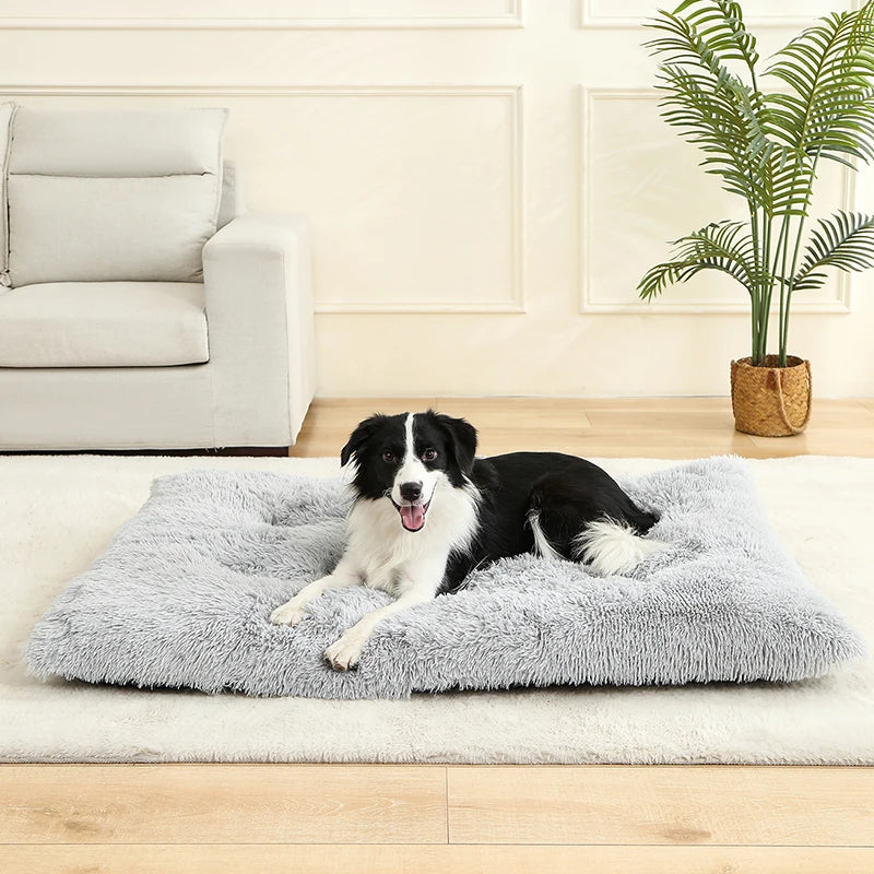 CosyNest Bed