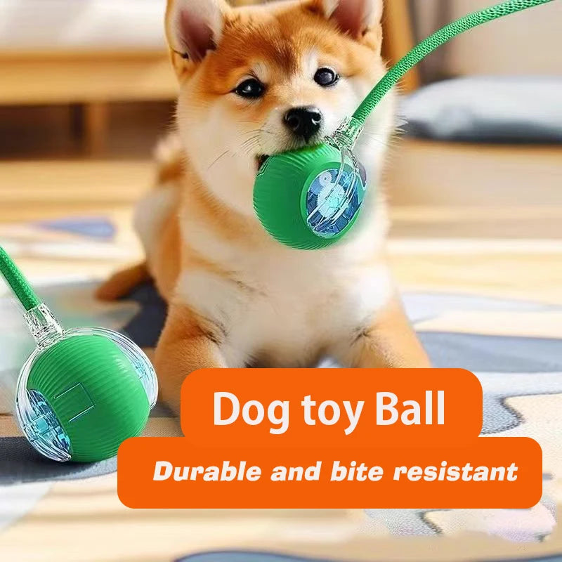 SmartRoll™ Rechargeable Auto-Rolling Ball — Interactive Dog Toy