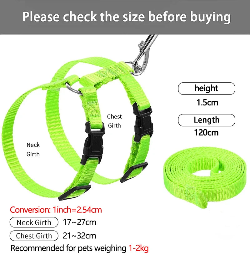 Mini Adventure Harness