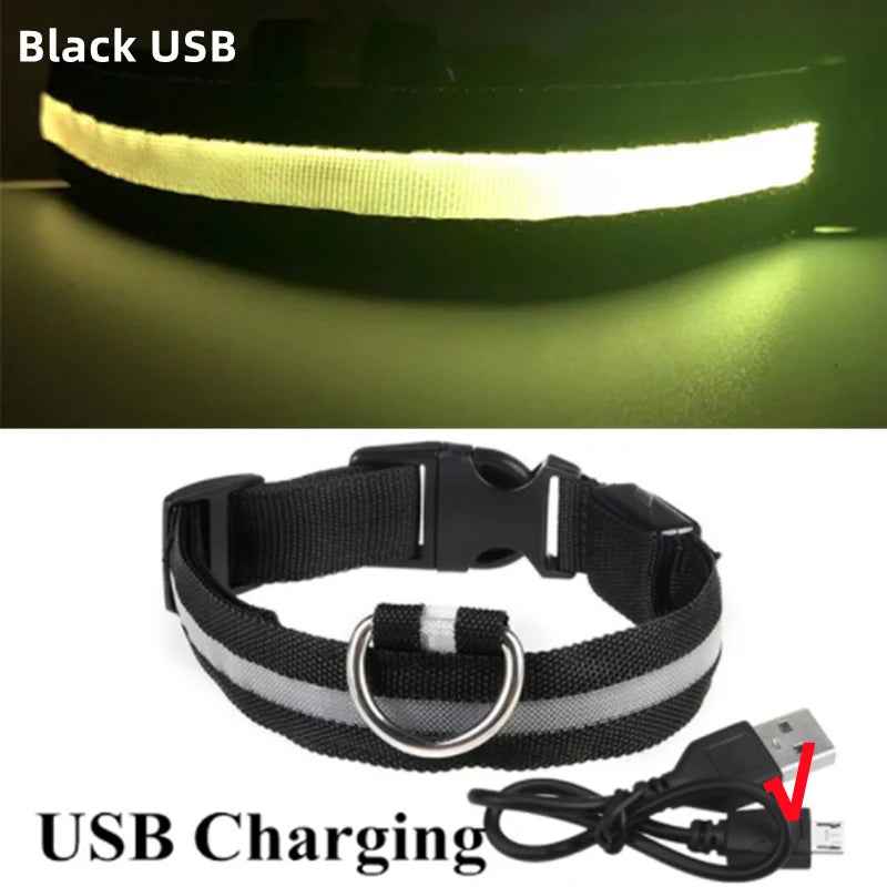 GlowGuard USB Rechargeable LED Dog Collar