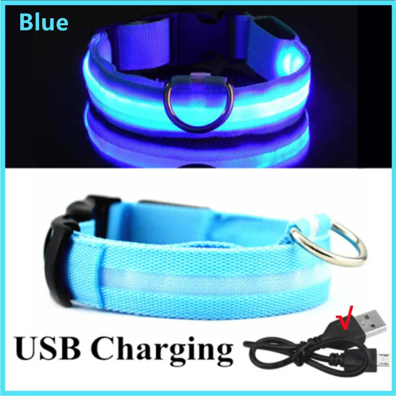 GlowGuard USB Rechargeable LED Dog Collar