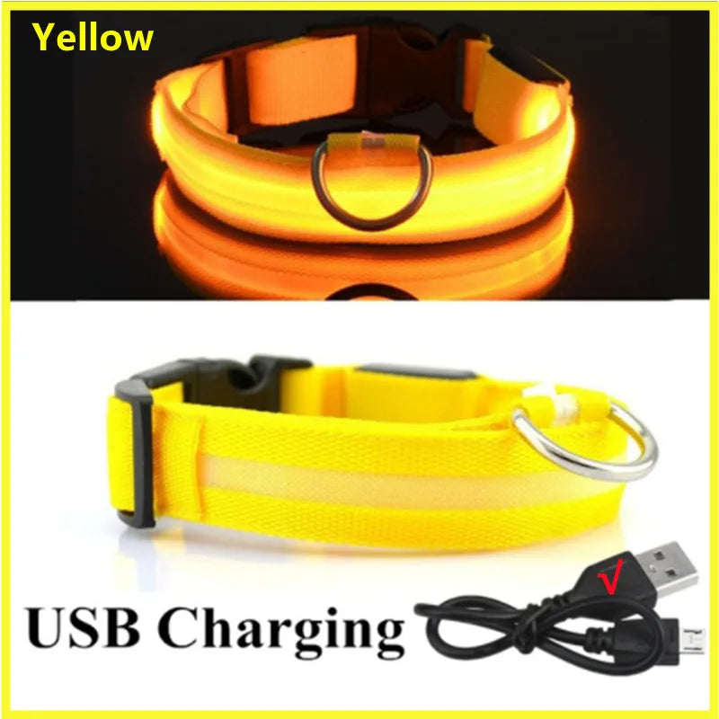 GlowGuard USB Rechargeable LED Dog Collar