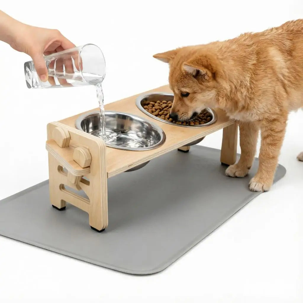ComfyDine Elevated Pet Bowl Set