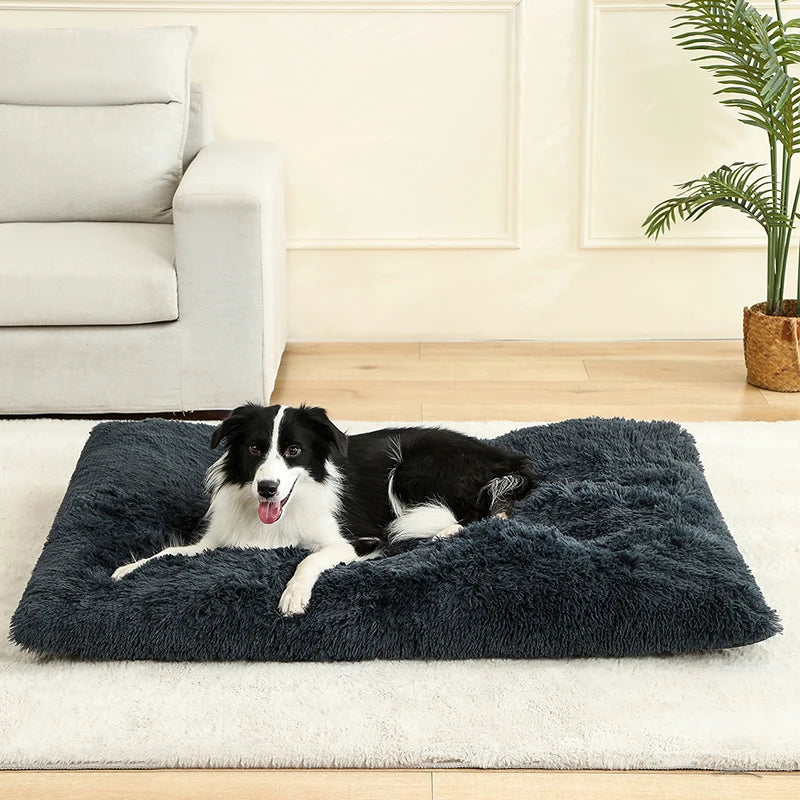 CosyNest Bed