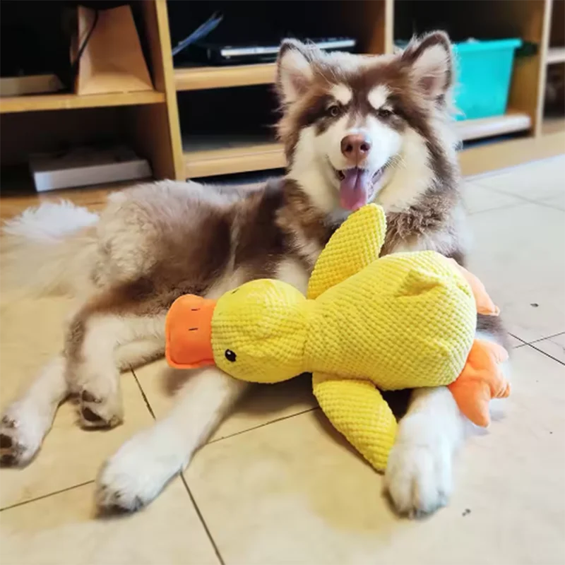 Anti-Stress Toy