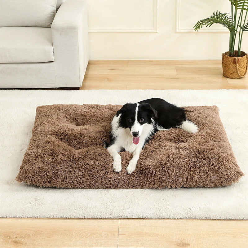 CosyNest Bed
