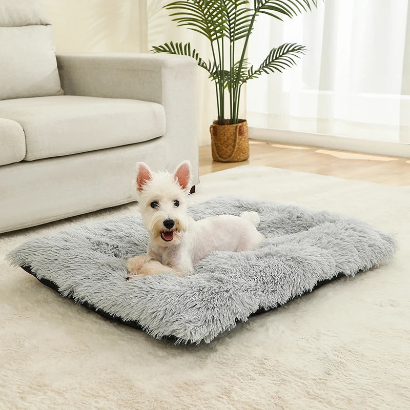 CosyNest Bed