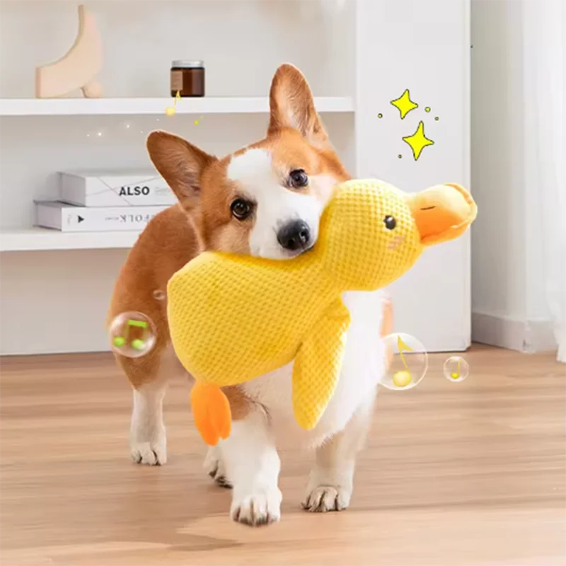 Anti-Stress Toy