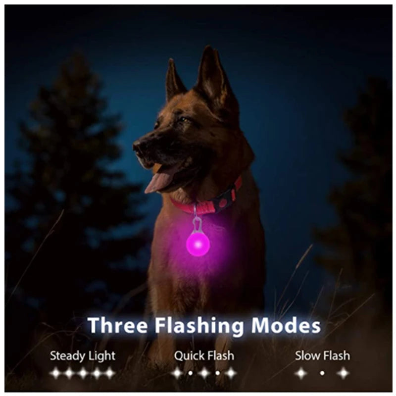 GlowGuard USB Rechargeable LED Dog Collar