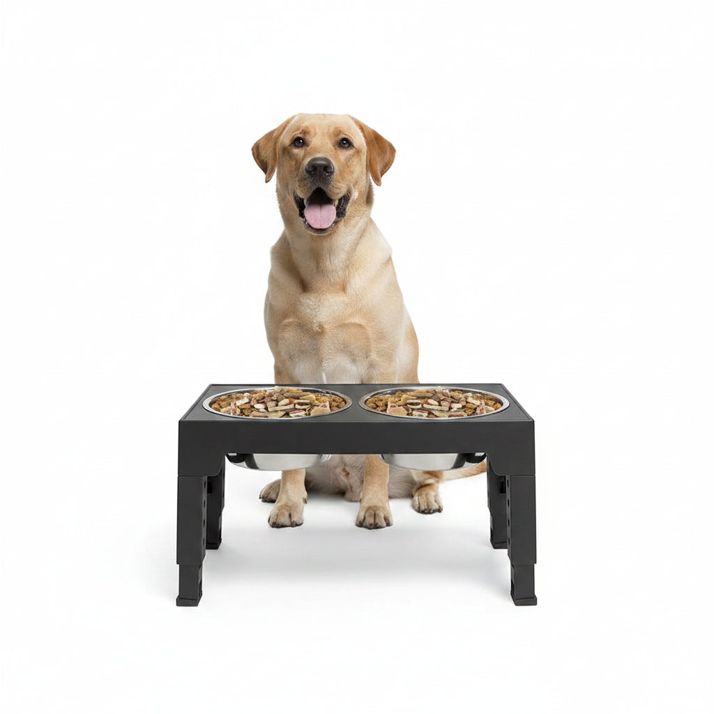 AdjustaDine Raised Dog Bowl Station