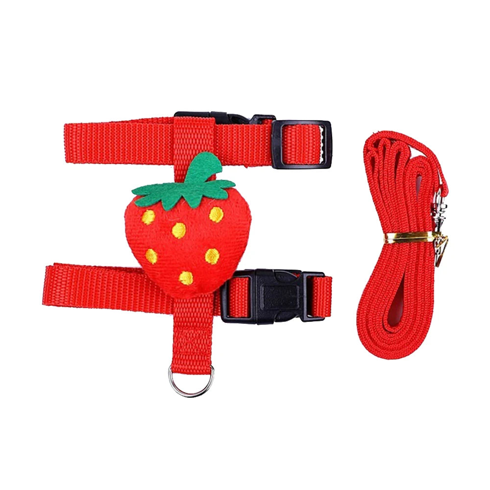 Mini Adventure Harness
