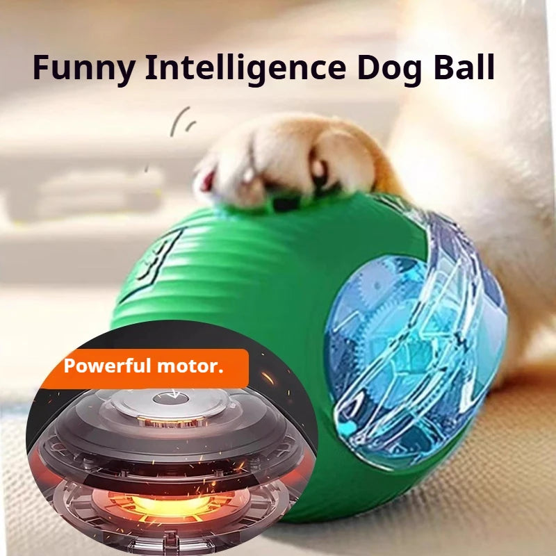 SmartRoll™ Rechargeable Auto-Rolling Ball — Interactive Dog Toy