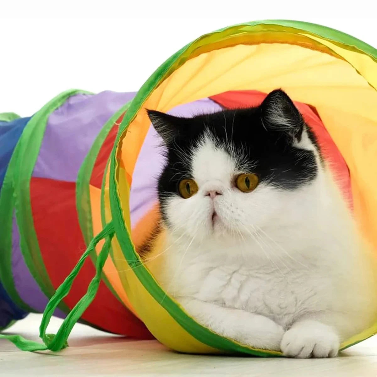 TunnelRun™ Foldable Pop-Up Play Tunnel — Cat & Puppy Exercise Toy