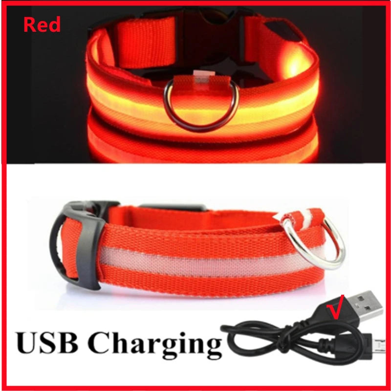 GlowGuard USB Rechargeable LED Dog Collar