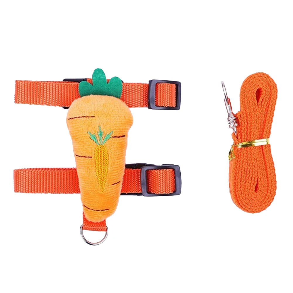 Mini Adventure Harness