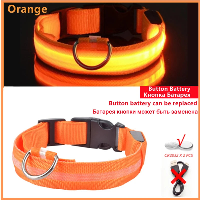 GlowGuard USB Rechargeable LED Dog Collar