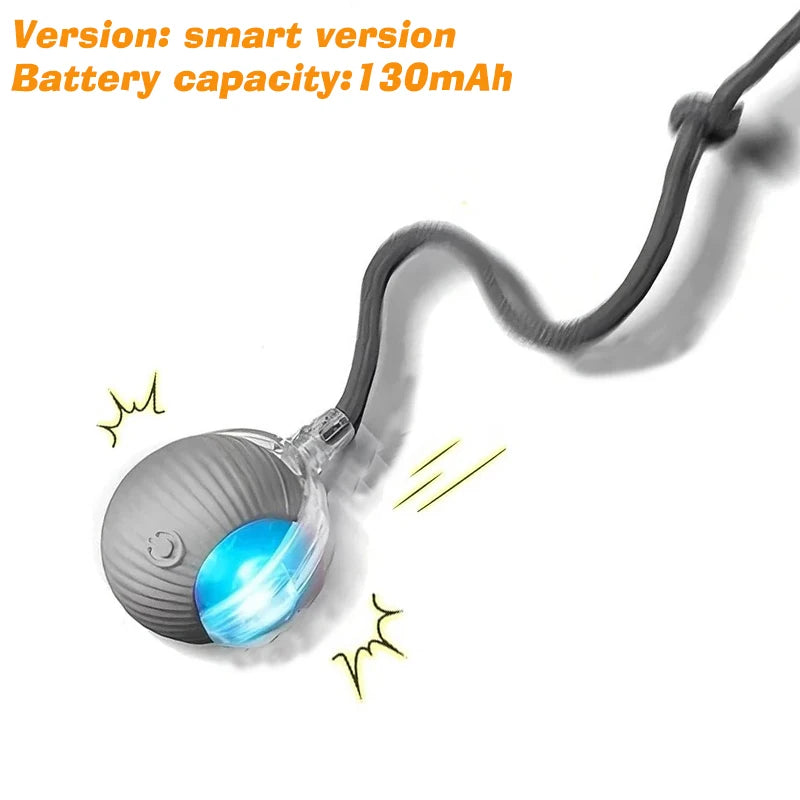 SmartRoll™ Rechargeable Auto-Rolling Ball — Interactive Dog Toy