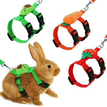 Mini Adventure Harness