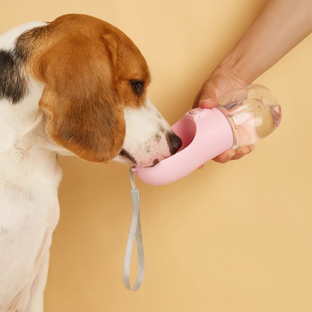 550 ml bottle for dogs