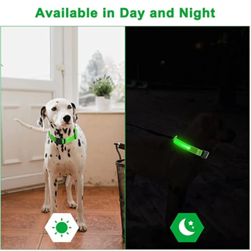 GlowGuard USB Rechargeable LED Dog Collar