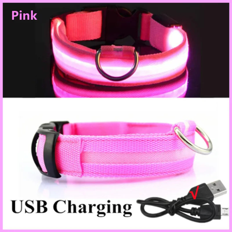 GlowGuard USB Rechargeable LED Dog Collar