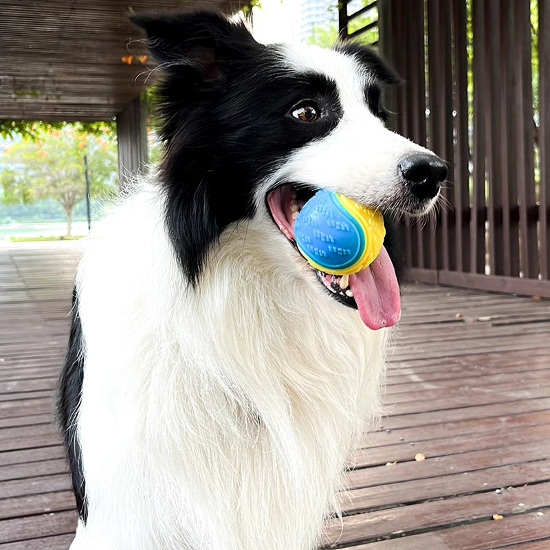 GripSqueak™ Soft TPR Squeaky Ball — Dog Dental Chew & Fetch Toy