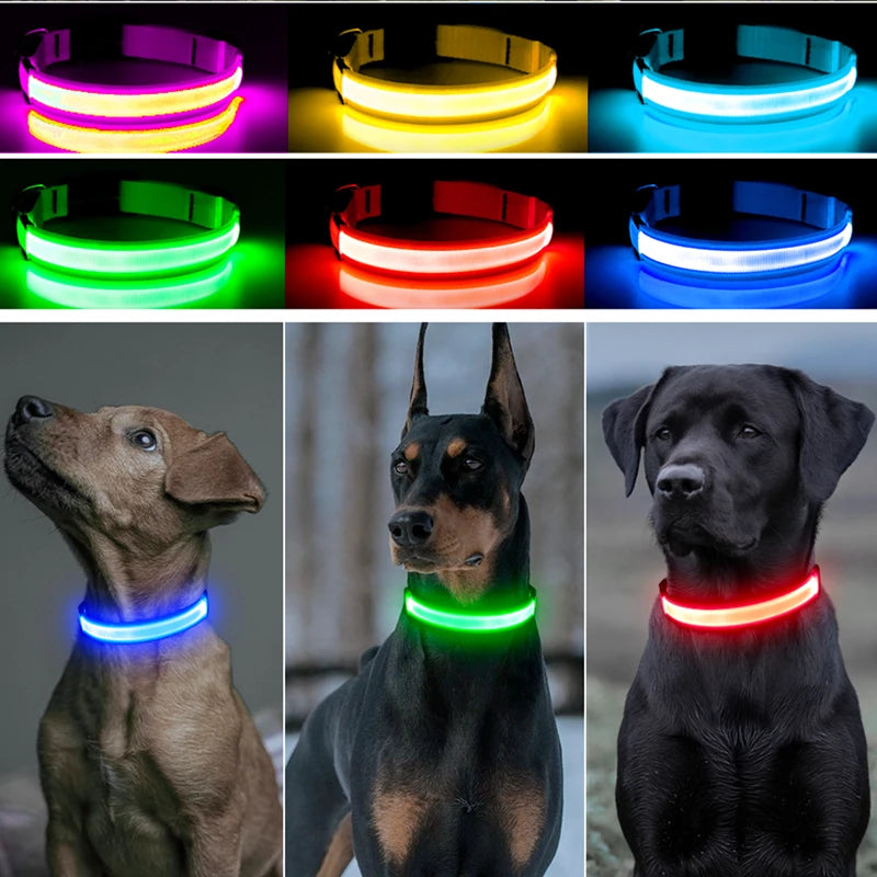 GlowGuard USB Rechargeable LED Dog Collar