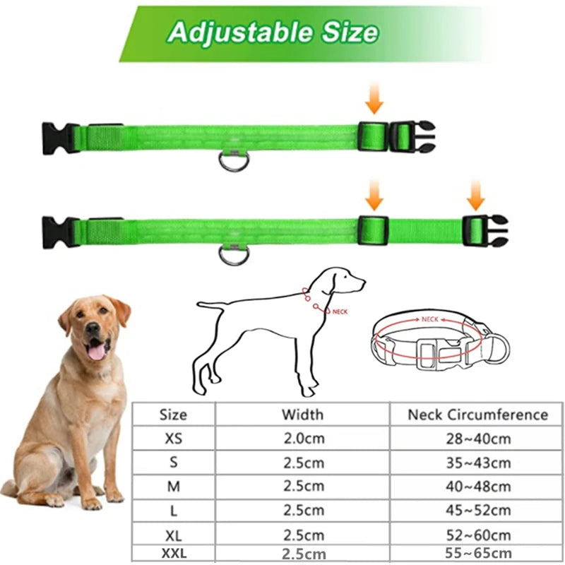GlowGuard USB Rechargeable LED Dog Collar