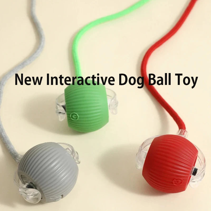 SmartRoll™ Rechargeable Auto-Rolling Ball — Interactive Dog Toy