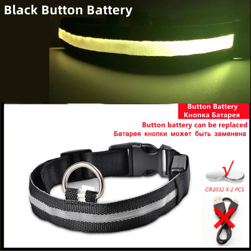 GlowGuard USB Rechargeable LED Dog Collar