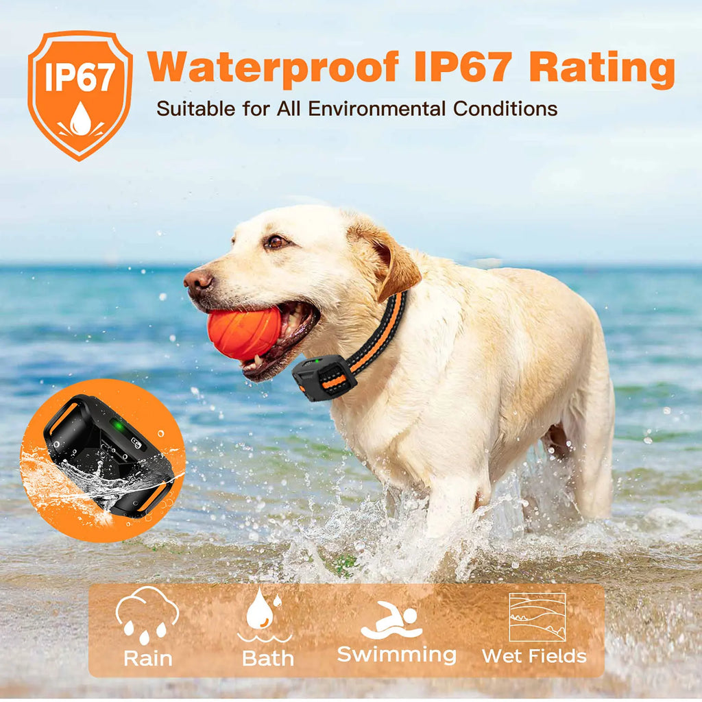 WXRPET Remote Dog Training Collar with Beep & Vibration