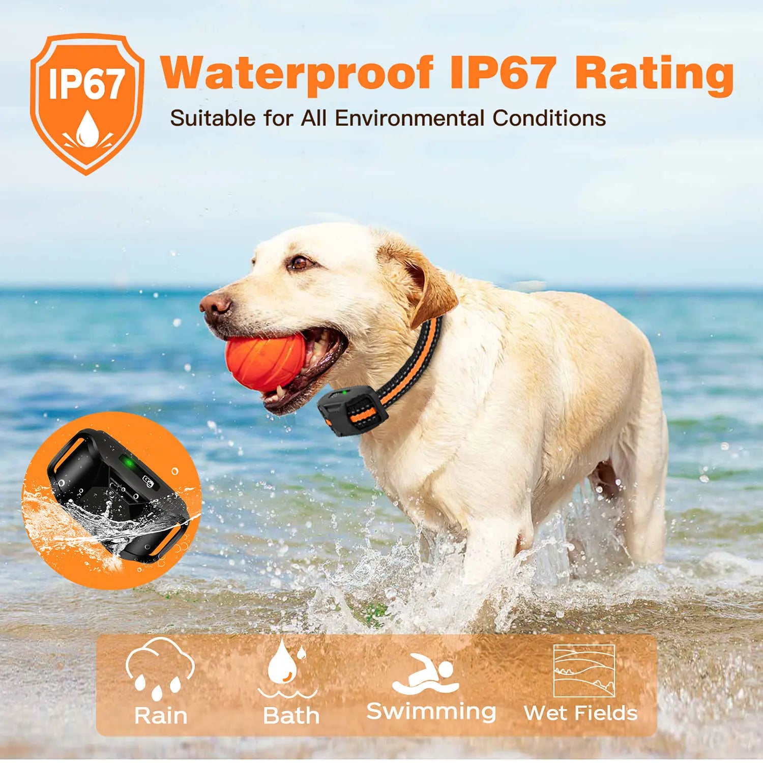 WXRPET Remote Dog Training Collar with Beep & Vibration