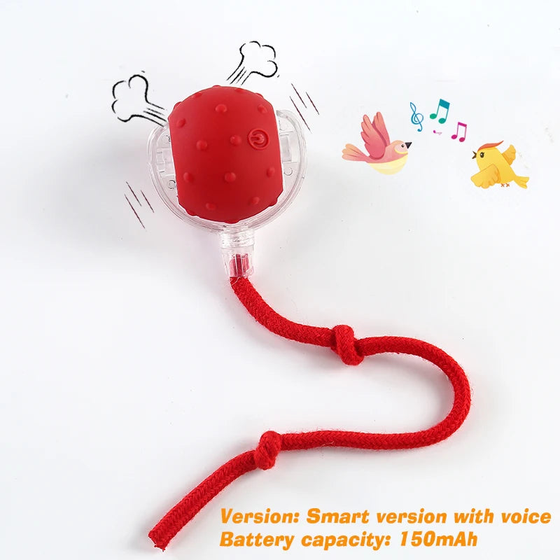 SmartRoll™ Rechargeable Auto-Rolling Ball — Interactive Dog Toy