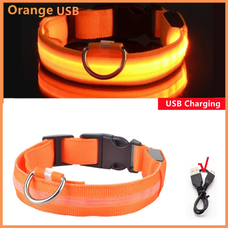 GlowGuard USB Rechargeable LED Dog Collar