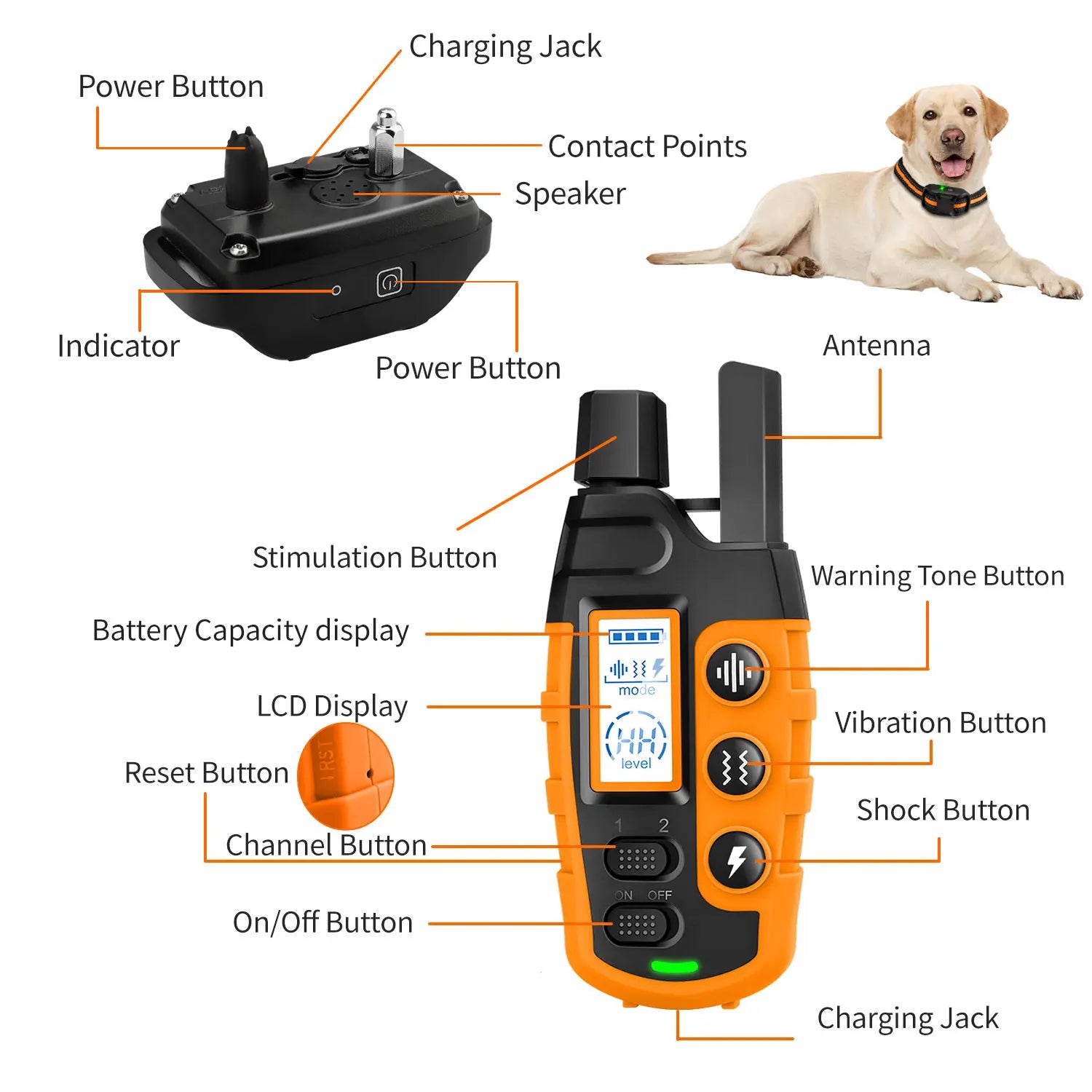 WXRPET Remote Dog Training Collar with Beep & Vibration