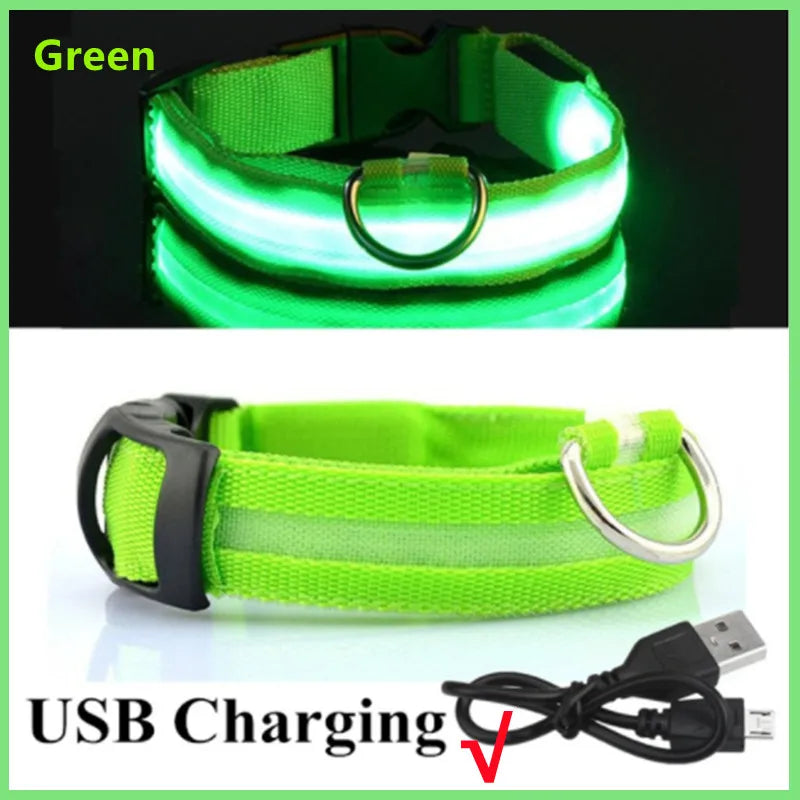 GlowGuard USB Rechargeable LED Dog Collar
