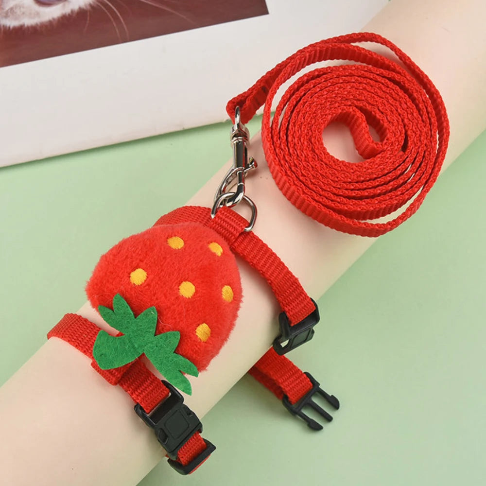 Mini Adventure Harness