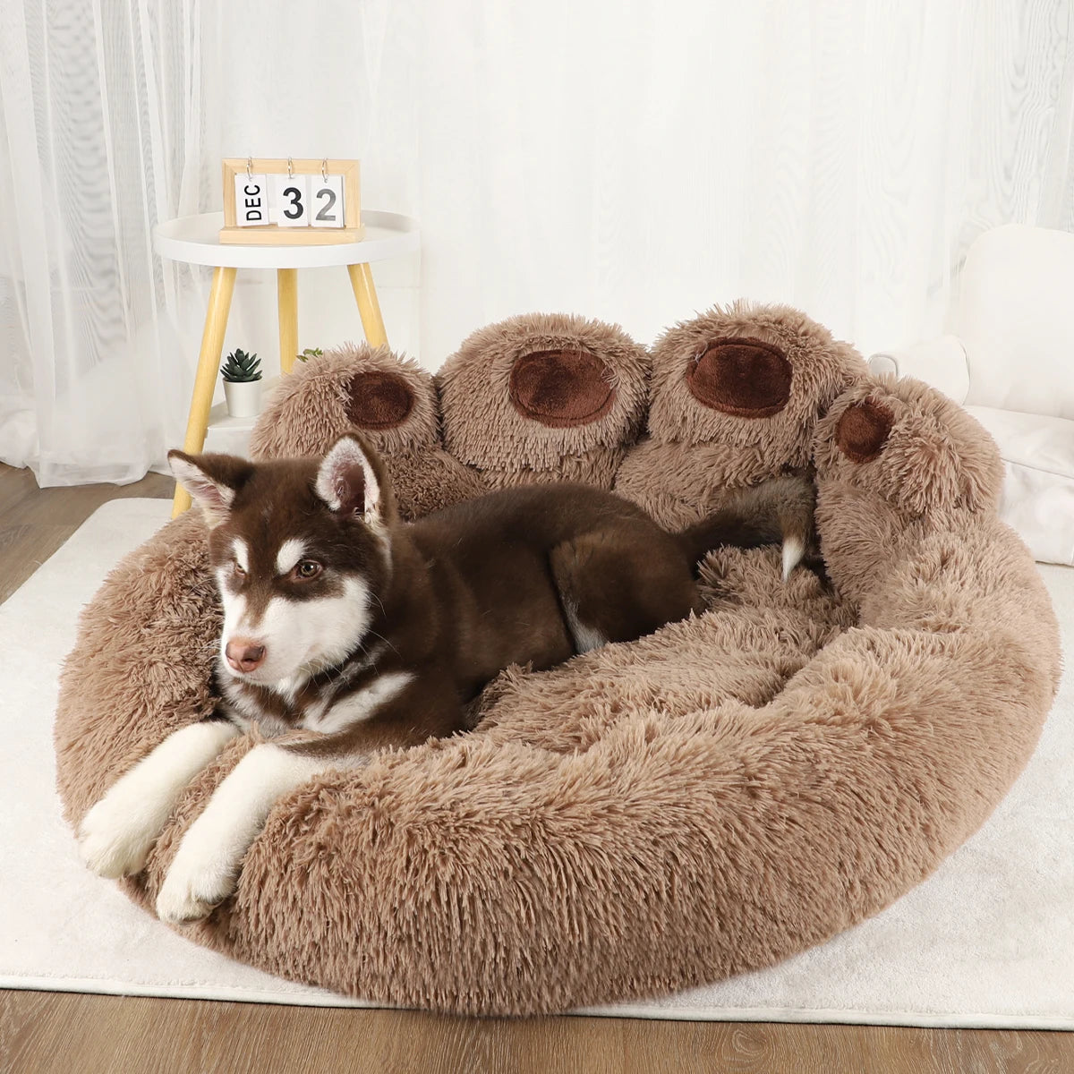 PawDream Bed
