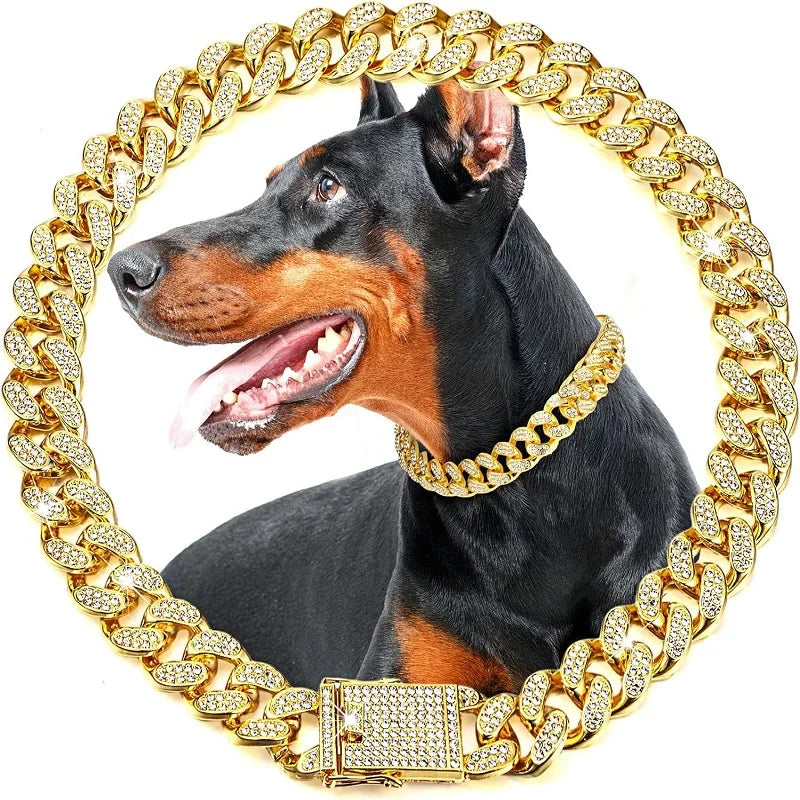 ✨ FjordNest™ Luxe Chain Collar