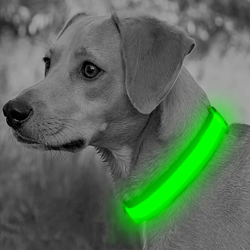GlowGuard USB Rechargeable LED Dog Collar