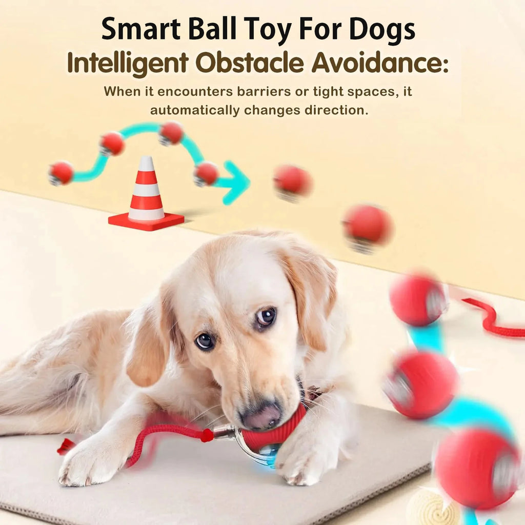 SmartRoll™ Rechargeable Auto-Rolling Ball — Interactive Dog Toy