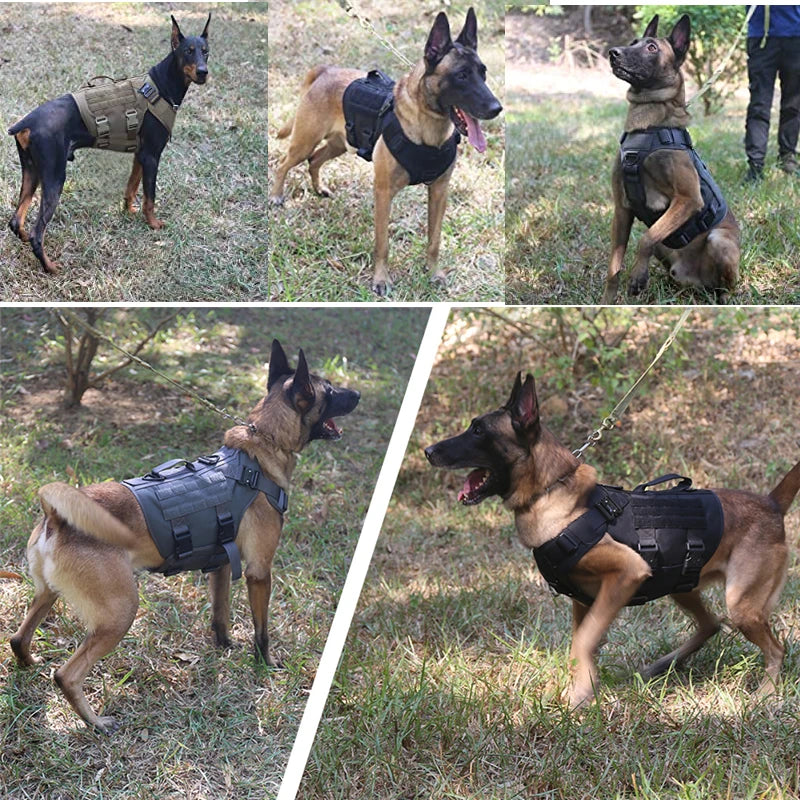 Guardian™ Tactical No-Pull Dog Harness