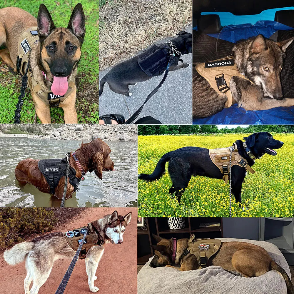 Tactical Control Harness