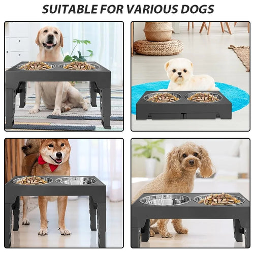 AdjustaDine Raised Dog Bowl Station
