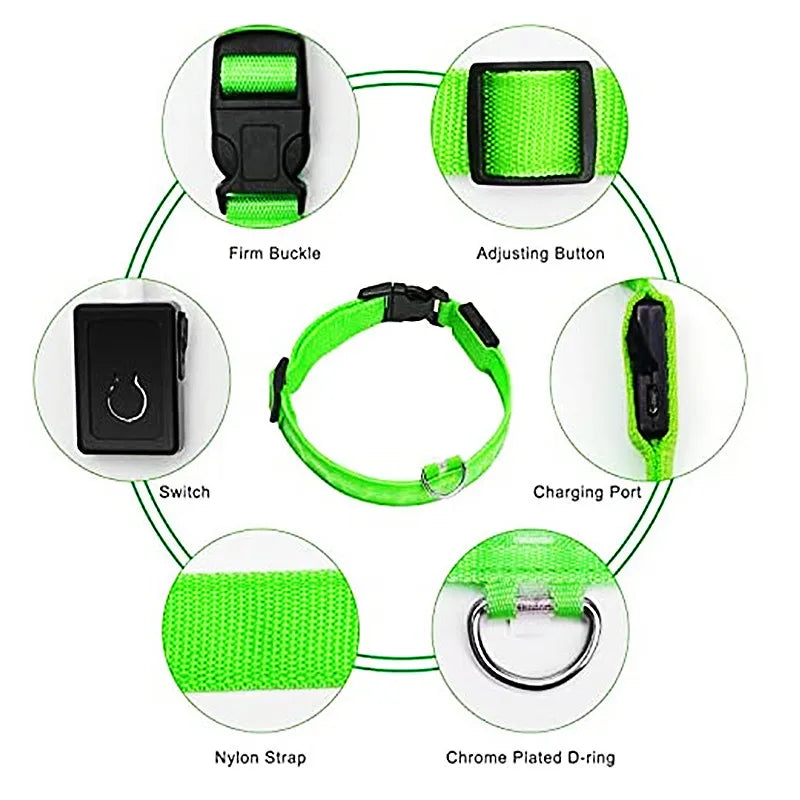 GlowGuard USB Rechargeable LED Dog Collar