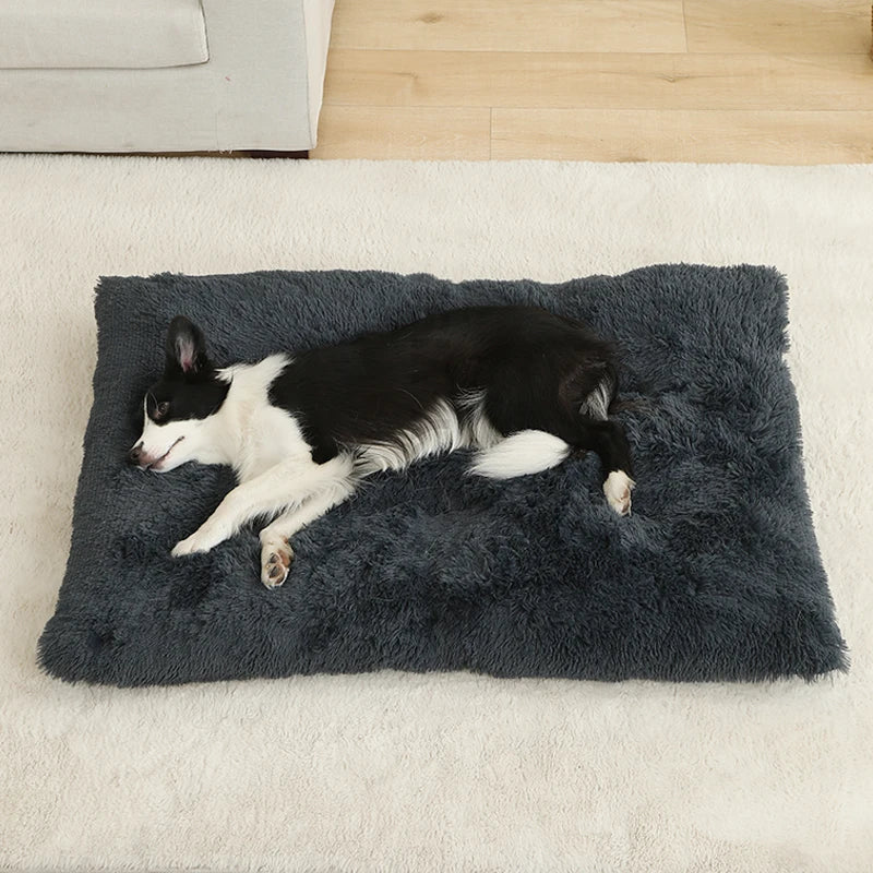 CosyNest Bed